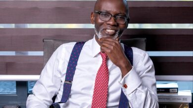 Gabby Cannot Tell Me What To Do, He Is Not Important - Sophia Akuffo Fires Back