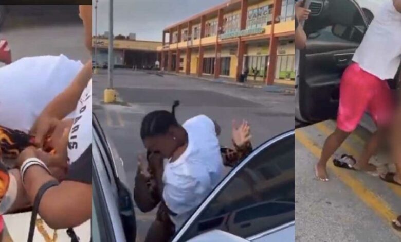 Ladies Fight Dirty In Middle Of A Highway