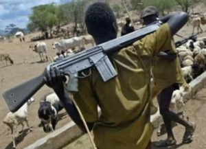 Fulani Herdsmen Gang Rapped My Wife's Sister at Gomoa Ojobi