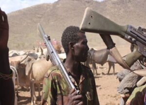 43 IDP Killed And Scores Injured In Benue State