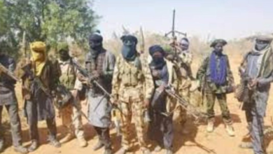 Fulani Herdsmen Gang Rapped My Wife's Sister at Gomoa Ojobi