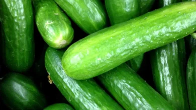 Beauty Benefits Of Cucumber For Women
