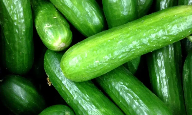 Beauty Benefits Of Cucumber For Women
