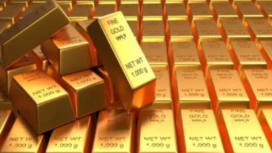 Bank of Ghana gold reserve increases Governor