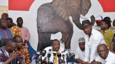 NPP National Council dismisses petition to centralize August 26 election