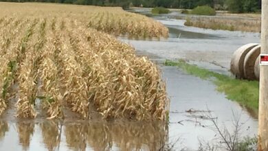 Government allocates 40 million to farmers affected by Akosombo Dam spillage