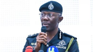 NPP tells Police to deal with troublemakers on November 4th Presidential primaries