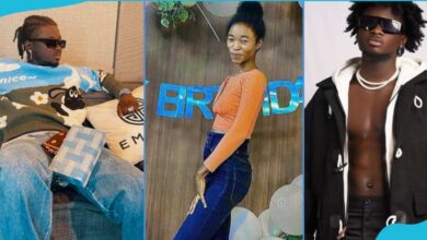 I Collapsed 3 times while living with Kuami Eugene because of hunger - former house-help