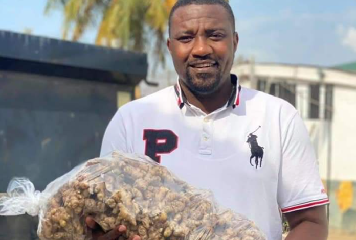 My ginger factory not under 1D1F – John Dumelo reveals