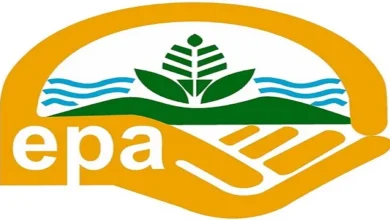 Stop using PP bags to pack cement – EPA cautions manufacturers