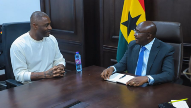 Dr Bawumia holds meeting with Idris Elba on Creative Arts economy