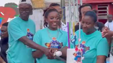 Afronita’s Academy launch draws A-List celebrities