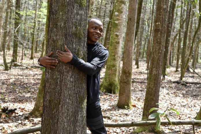 Ghanaian student sets World Record for ‘Most Trees Hugged’