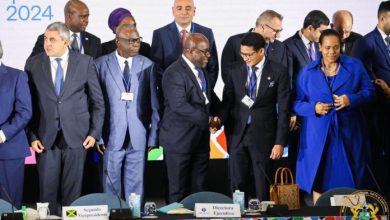 Egyapa Mercer makes a case for Ghana at UN