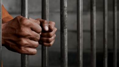 Self-proclaimed chief jailed 15 months for fraudulent land sale
