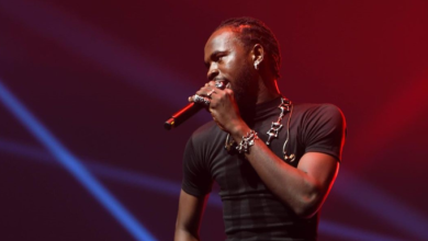 How Black Sherif reacted to fans electrocution during his show