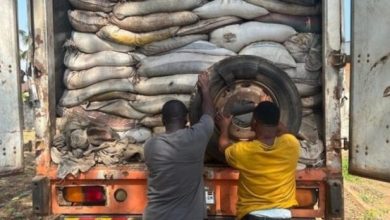 Police intercept 500 bags of smuggled cocoa in Upper East